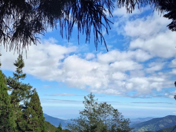 【新竹縣五峰鄉】檜山巨木森林步道2833709