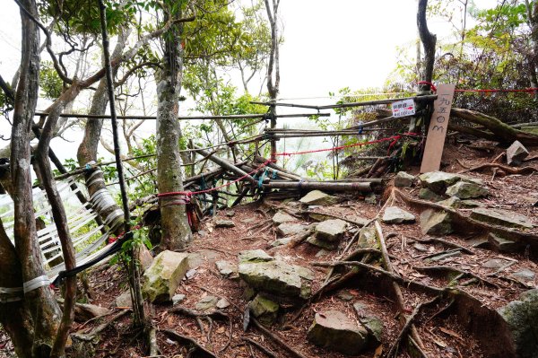 臺中 和平 大崠山、長壽山、醜崠山3028331