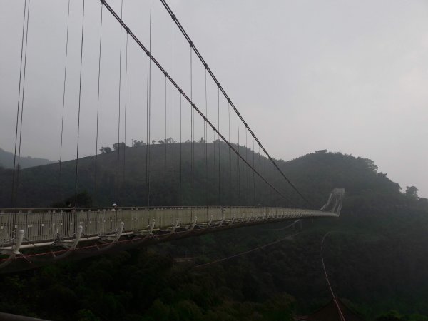 太平雲梯到橋步道787515