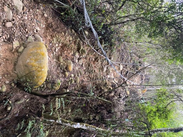 苗栗三義-三員縱走2616439