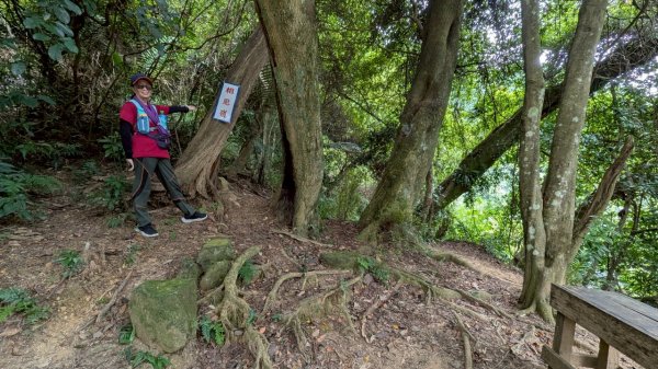 114.08.09溪洲山-新溪洲山之旅2856792