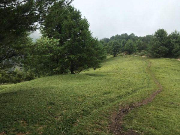鹿林山388539