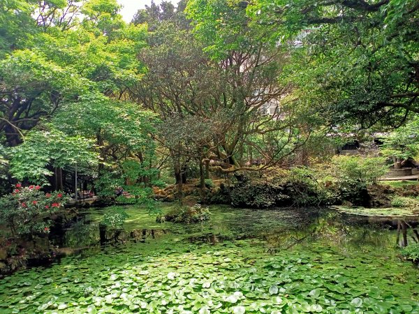 陽明醫院舊址、陽明山前山公園、紗帽山步道、紗帽路、臺北市教師研習中心【走遍陽明山】2121928