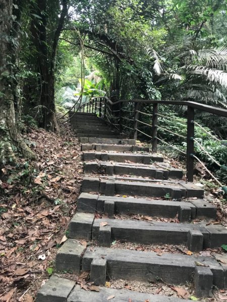 獅頭山、猿山、獅尾山三連走525982