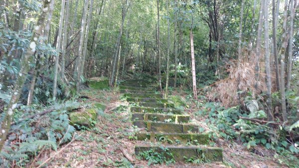 雲嘉九連峰1438946