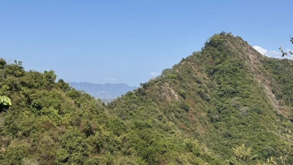 20260211小百岳旗尾山3002853