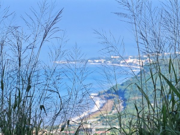 里龍山 悠遊山徑-溪谷-欣賞海天一色美景1486112