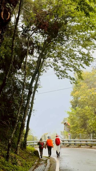 🌈4/6（一）關山越嶺古道-中之關古道✨FB：熊熊趴爬走~歡迎加入🌈3031215