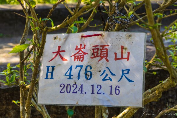 [台北]大崙頭山、碧山巖、忠勇山2746159