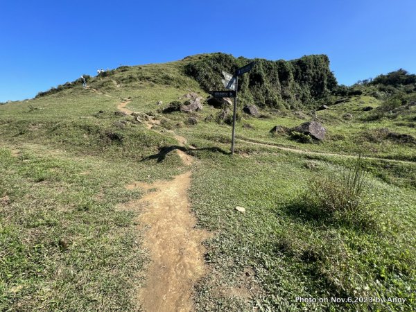 桃源谷步道（灣坑頭山）2349480