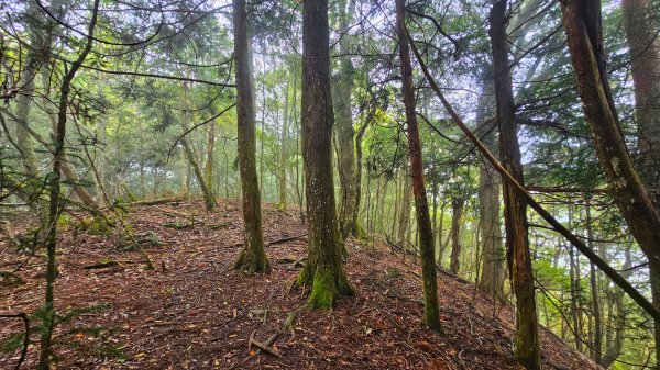 112.04.08 油羅山2123579