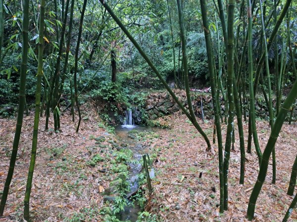 新北三貂嶺瀑布群步道3106277