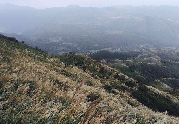 夢幻湖、七星山主東峰183384