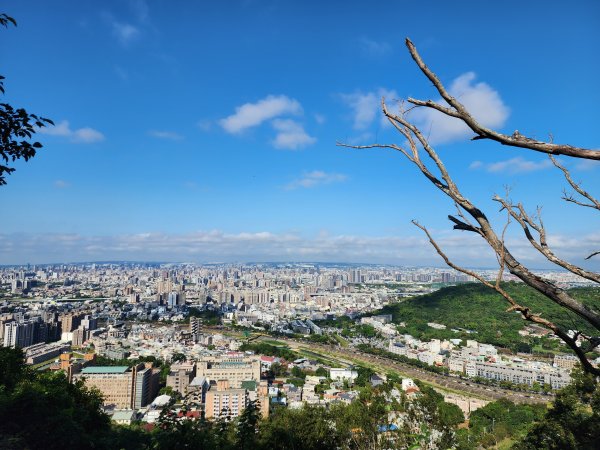 小百岳No.42⛰南觀音山2924877
