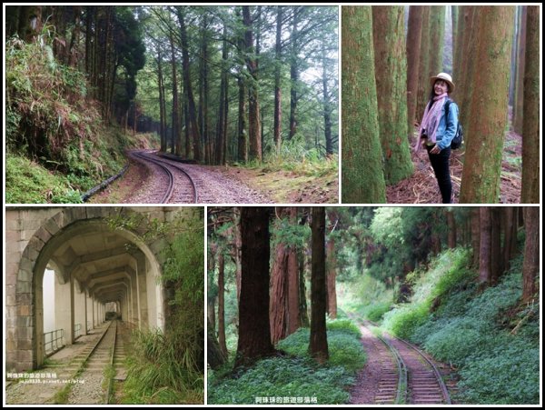 謎樣般的阿里山眠月線鐵道