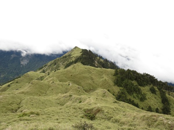 合歡山東峰-尖山-小奇萊-石門山2513133