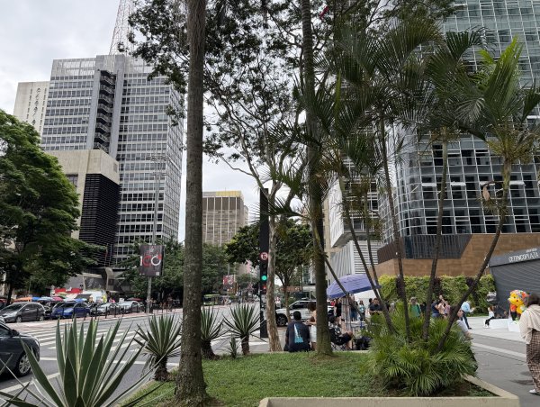 [紐約馬之行-74] 2025_1116 保利斯塔大道2957220