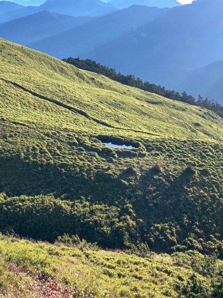 合歡山北峰+西峰2552094