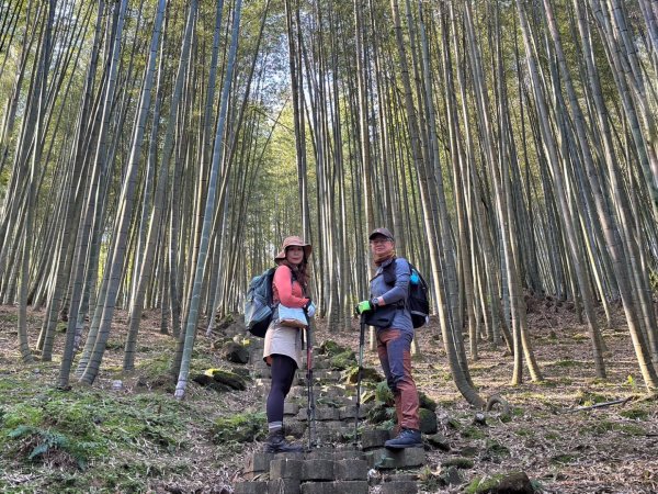 溪頭六連峰O繞2741804