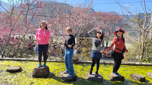 南投草坪頭2714127