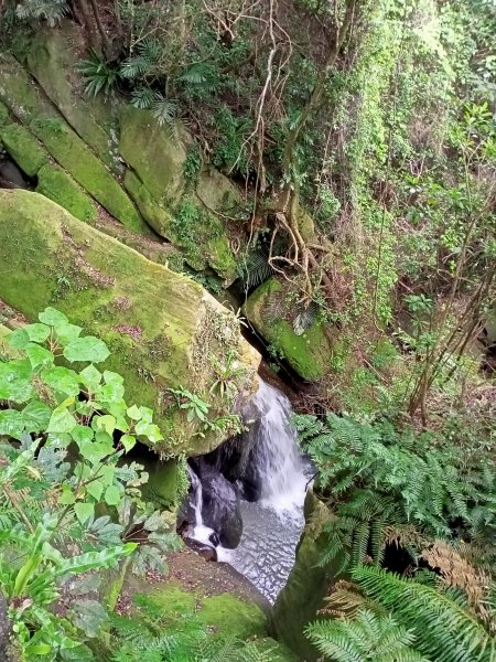 【臺北大縱走 4】捷運大湖公園站→大溝溪生態治水園區→圓覺寺步道→同心池+內湖三尖1556993