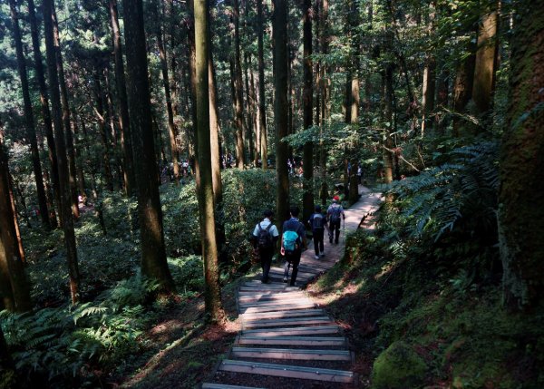 志繼山、東眼山O型1336099