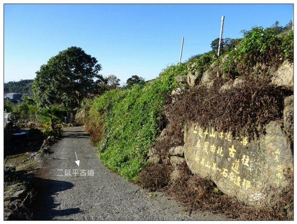 二延平山、嘉義/番路1605256