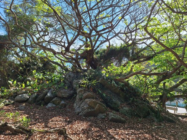 北關海潮公園202508312877153