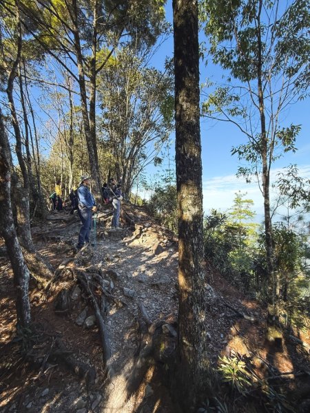 鳶嘴稍來步道賞楓季 ，大雪山門票優惠到12/31！2969547