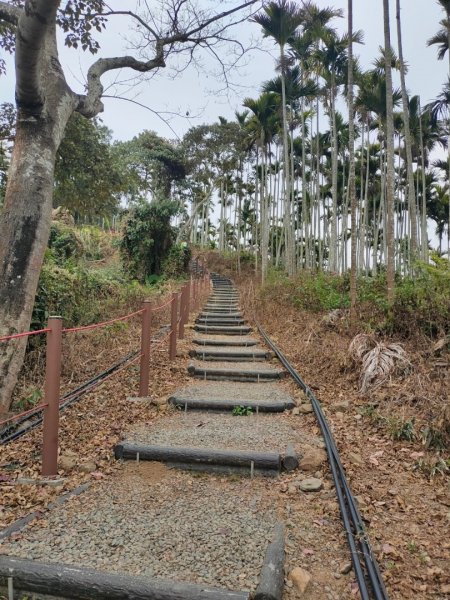 嘉義［阿拔泉山稜線步道］+太平雲梯2235717