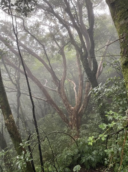 頂山八連峰2628559