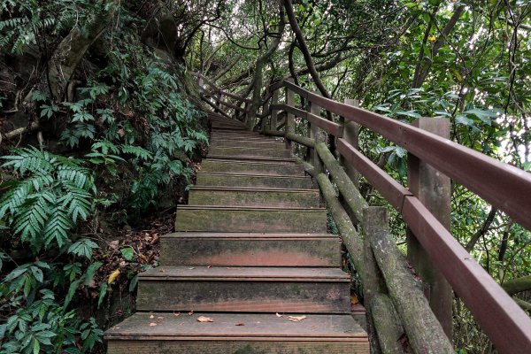 南勢角山｜烘爐地小百岳2892069