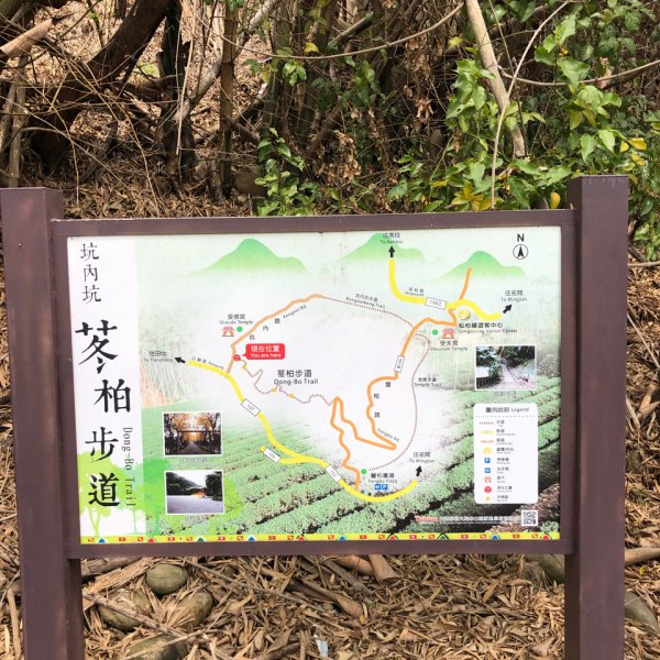 松柏嶺坑內坑森林步道2465179