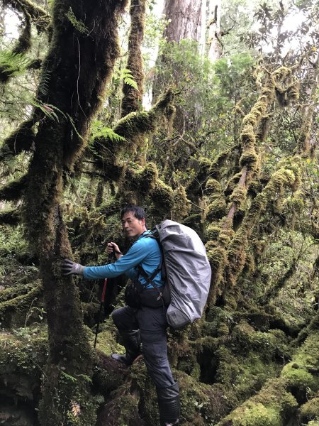 雪白山、西丘斯山、司馬庫斯越嶺古道下100林道1418231