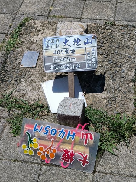 20250822微笑山線205高地段2868575