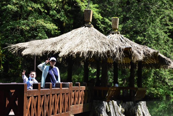 20251011追公車搭公車阿里山漫遊2910917