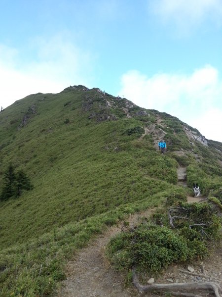 20150926 合歡北峰1294177