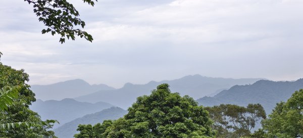 2026/05/24_大崎棟古道O型3066869