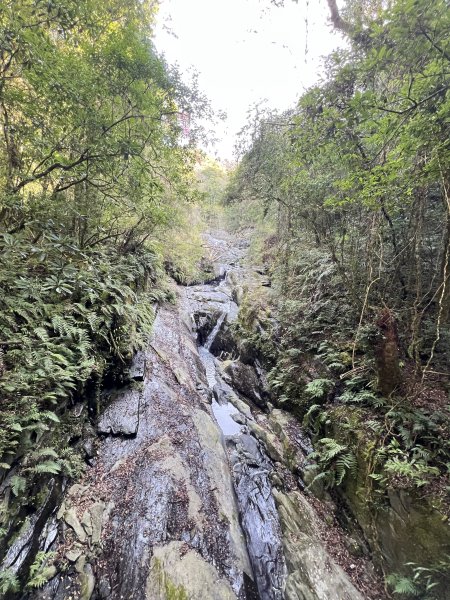 ~ 上帝的部落 - 司馬庫斯 ~3023506