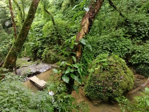 平溪區善覺寺古道(步道)去回2855365