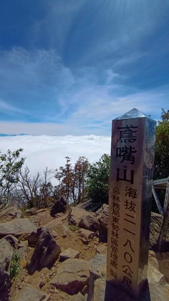 鳶嘴山美呆了~滿滿的雲海~1884283