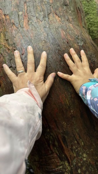 20250101內鳥嘴山北得拉曼步道2681576