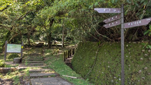 115.07.26孝子山-慈母峰-嶺腳瀑布-望谷瀑布之旅3091110