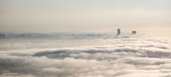 #觀音山 #雲海 #夕陽 #天空之城 #大赤鼯鼠（飛鼠） 2/132999435