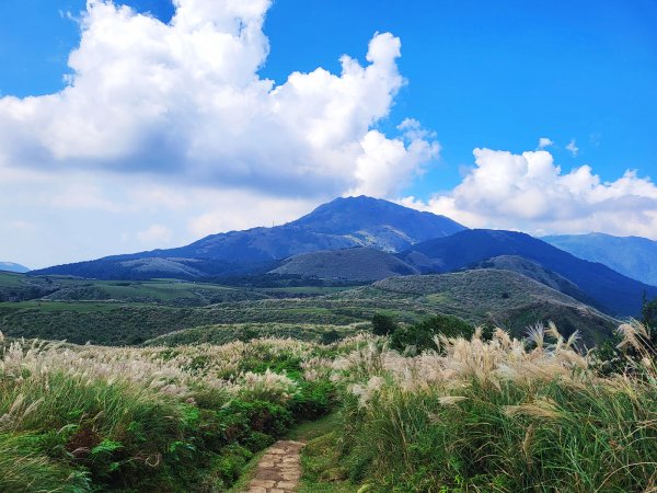 【芒花舞秋風】草山精典賞芒勝地連走2336393