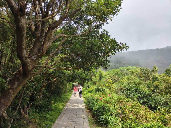 [百山百鳥尋旅-15/15] 2025_0929 硬漢嶺步道(觀音山)2901002