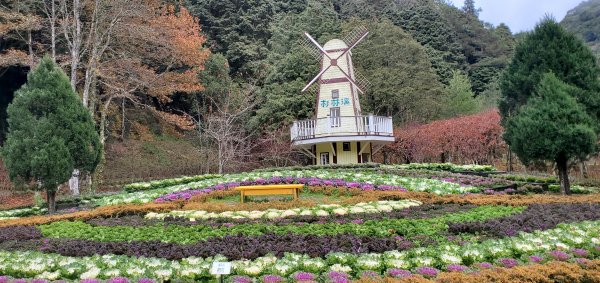 2023-01-01杉林溪青龍蕨類步道(青龍瀑布)、松瀧岩瀑布及天地眼步道1978896
