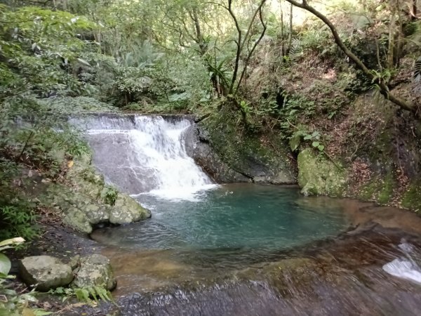 坪林區小粗坑古道+小粗坑山+環山路+楣子寮尖+貴妃池O型