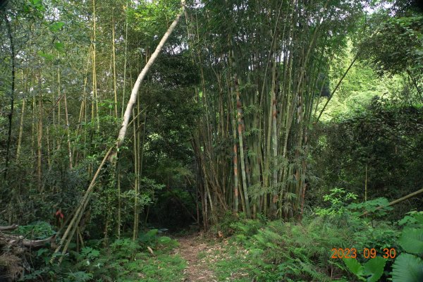 苗栗 大湖 玉女山、金童山、汶水山2301466