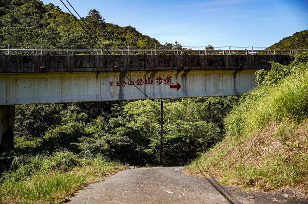 五分山｜小百岳2915425